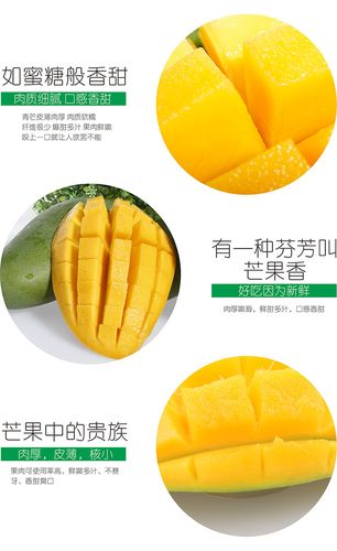 果脯罐装特产零食厂家批发 整箱饮料与传统果脯的一站式供应